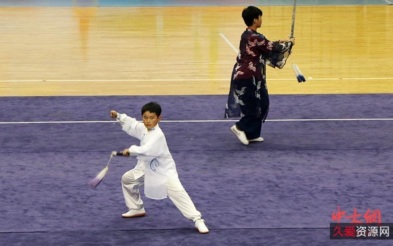 「++武术书_490本++」__少林/气功/掌法/剑术___大合集