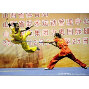 「++武术书_490本++」__少林/气功/掌法/剑术___大合集