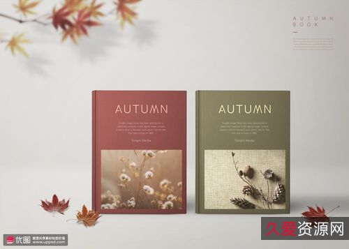 优质书籍下载站