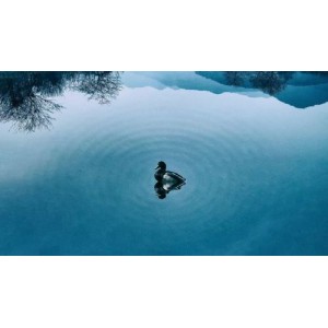 强烈推荐两本好书：1、《现代佛法》-格西格桑嘉措；2、《如何转化你的生命》-格西格桑嘉措.pdf