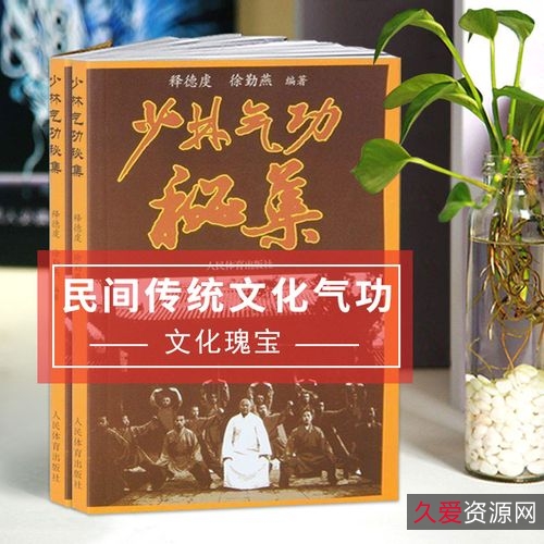 中国古代的武术与气功.pdf