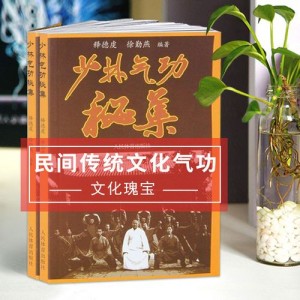 中国古代的武术与气功.pdf