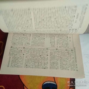 汉语大字典扫描本