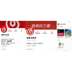 网抑云音乐热评墙网站源码