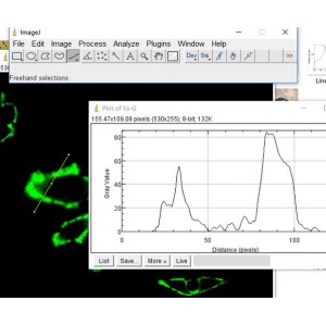 科研作图软件GraphPrism+v8.0.2.263汉化破解版