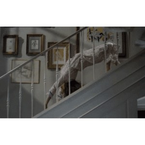 库布里克经典电影集：《闪灵》、《妹子》、《奇爱博士》和《大开眼戒》，阿里云盘视频原画双格式下载