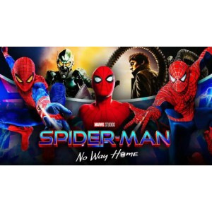 2022年最新超级英雄电影：蜘蛛侠3：英雄无非非录制版