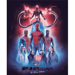 2022年最新超级英雄电影：蜘蛛侠3：英雄无非非录制版