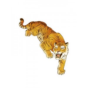 《虎年新片：你好，老叔，友谊的礼物，温馨感人》