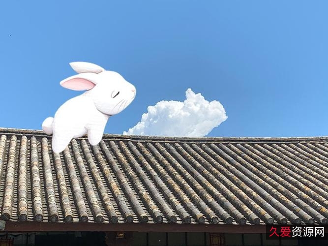 虎年火星任务：疯狂的兔子精彩冒险