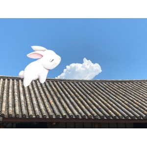 虎年火星任务：疯狂的兔子精彩冒险