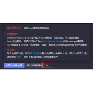 《极速学习：零基础足球新手入门教学》