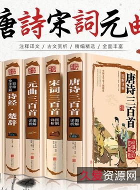 阿里云盘带你轻松访问《中国诗词大会》资源