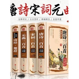 阿里云盘带你轻松访问《中国诗词大会》资源