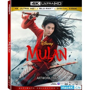 花木兰蓝光4K：极速在线查看4K蓝光视频原画，支持倍速播放！