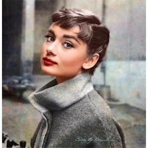 阿里云盘提供：奥黛丽·赫本电影系列（29部），视觉震撼，情感满足