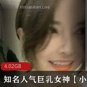 高颜值巨R女神主播小雅小雅销魂4.02合集：土豪灌醉酒醉酒后的波涛汹涌！