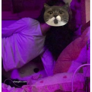 疯狂暴抠！双女畸形恋攻守！假JJ激吻，打粑粑吃瓜，2.1G自拍3V百度盘