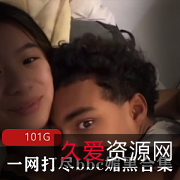 BBC资源100G欧美亚洲动漫颜值身材媚黑留言视频推特P站
