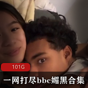 BBC资源100G欧美亚洲动漫颜值身材媚黑留言视频推特P站