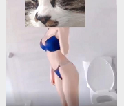 顶级网红女主播长腿黑丝超美女神