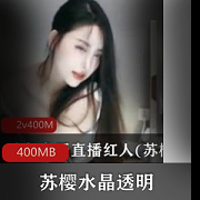 魅骨水晶透明舞蹈资源合集400MB