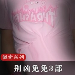 网红别凶兔兔经典3部