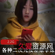 91大神二次元反差婊学妹COS脸蛋不露脸资源2.2G视频数量众多