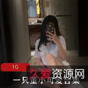 董小可爱视频合集：精选女神FL姬邻家少女风格，反差婊绅士资源980MB