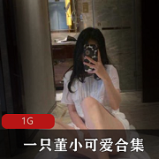 董小可爱视频合集：精选女神FL姬邻家少女风格，反差婊绅士资源980MB