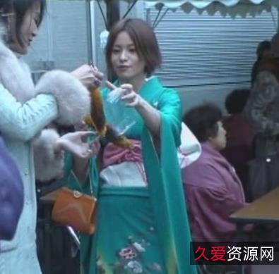 经典系列作品：番茄炒蛋，9V-10G，网络发达，大佬