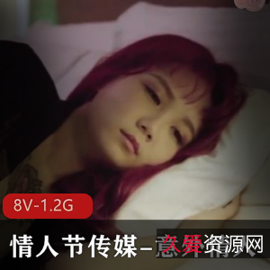 玩偶姐姐特别篇：8V-1.2G大神打包，火爆合集！