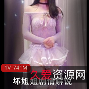 坏姐姐:剧情解说,1V-741M