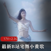 神秘小姐姐悄悄话，B站最新宅舞小黄歌[17V+2.3G]