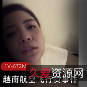 越南航空飞行员事件