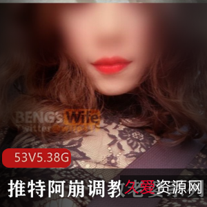 稀缺真实夫妻档UP主阿崩指教老婆狗链有尺度视频合集,53V-5.38G盈利神作!