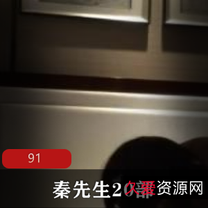 优质女神系列！秦先生20部合集震撼上贤妗