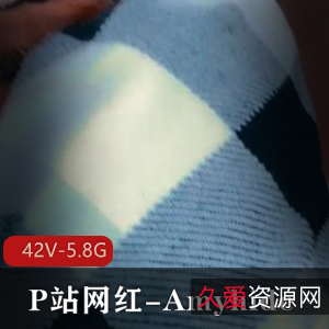 P站网红Amyhide全部合集42V5.8G，自拍短剧无保护，温馨提示漏脸！