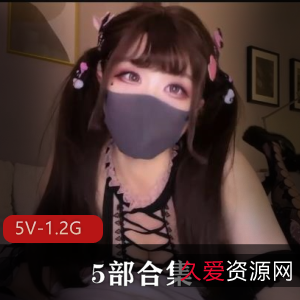P站神秘女仆居家服务系列5V1.2G优质身材