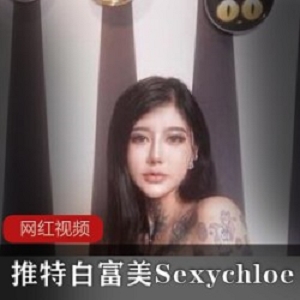 Sexychloe推特视频合集95部68G超火辣