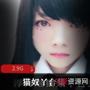 推特猫奴丫母犬日记2.9G足系列福利