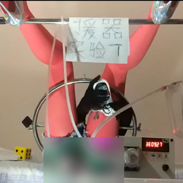 援器学会窒息玩法5V1.2G推特私密收藏