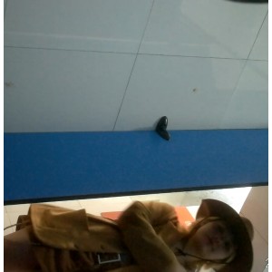 小蓝门私密场景精选99部64.7G绝密档案